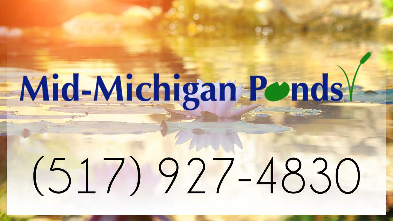 Pond Construction Company for Lansing MI, Dewitt MI, Charlotte MI, Mason MI.